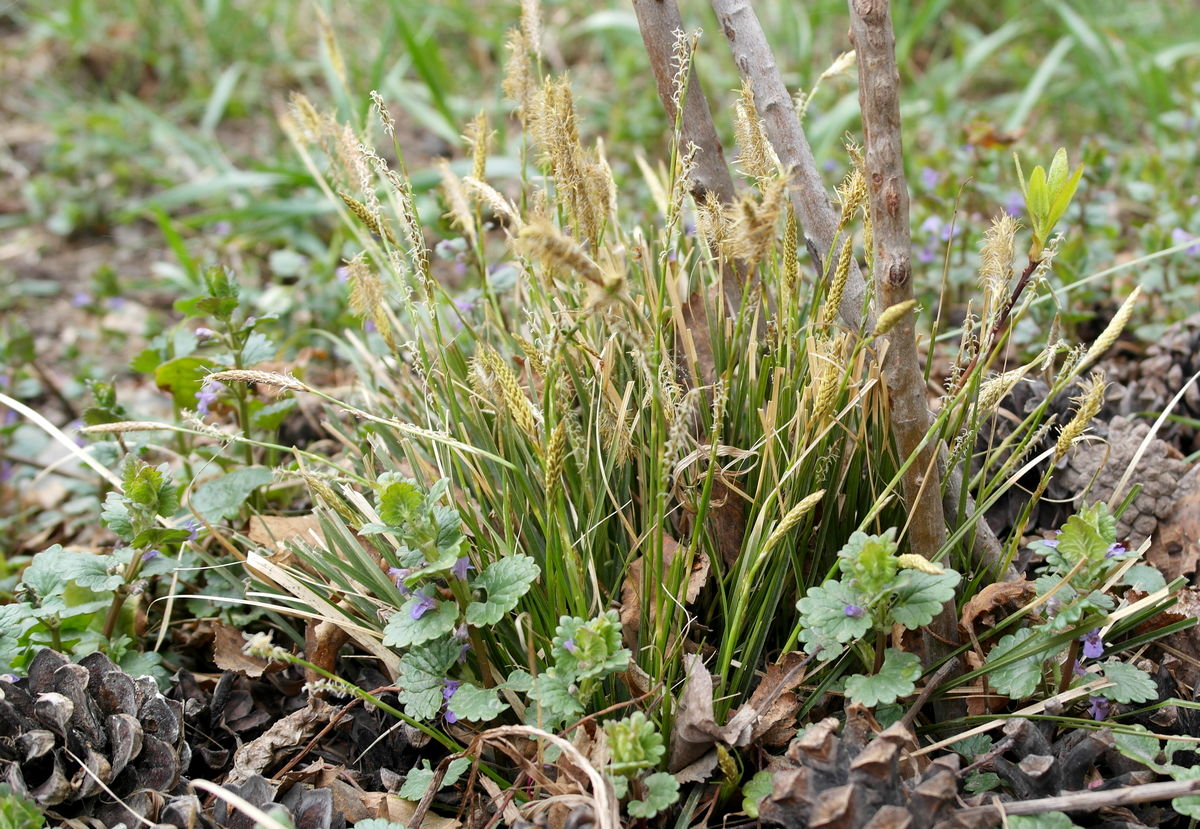 ����� � ����� �������������