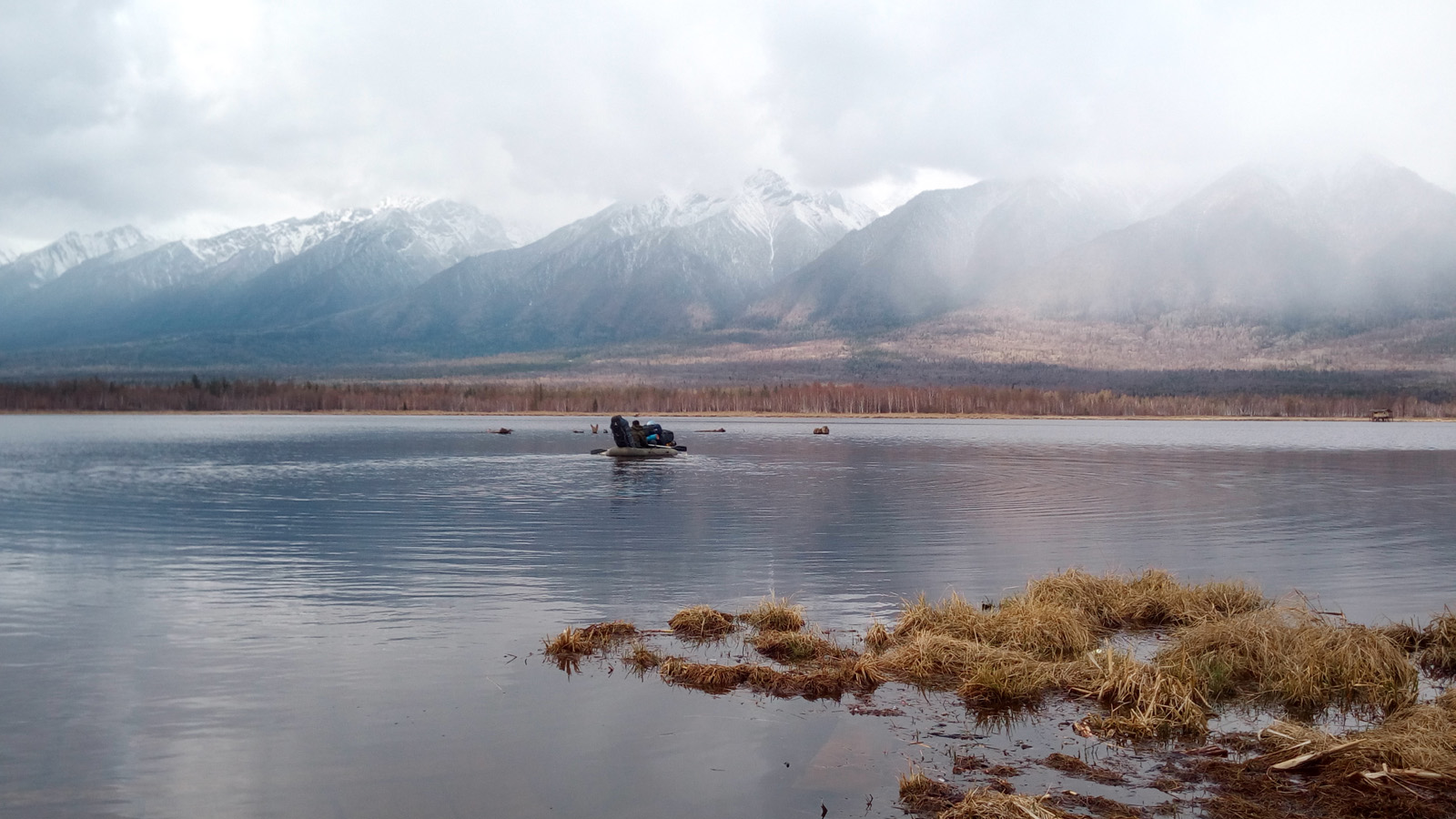 2018 ��������� ������������ �����