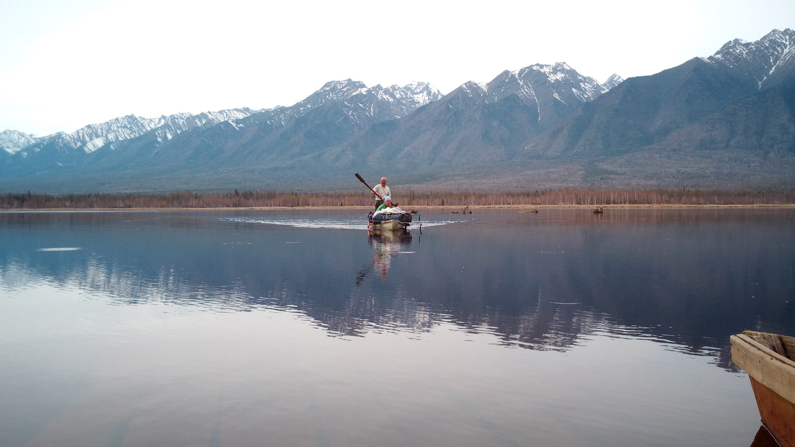 2018 �������� �����������