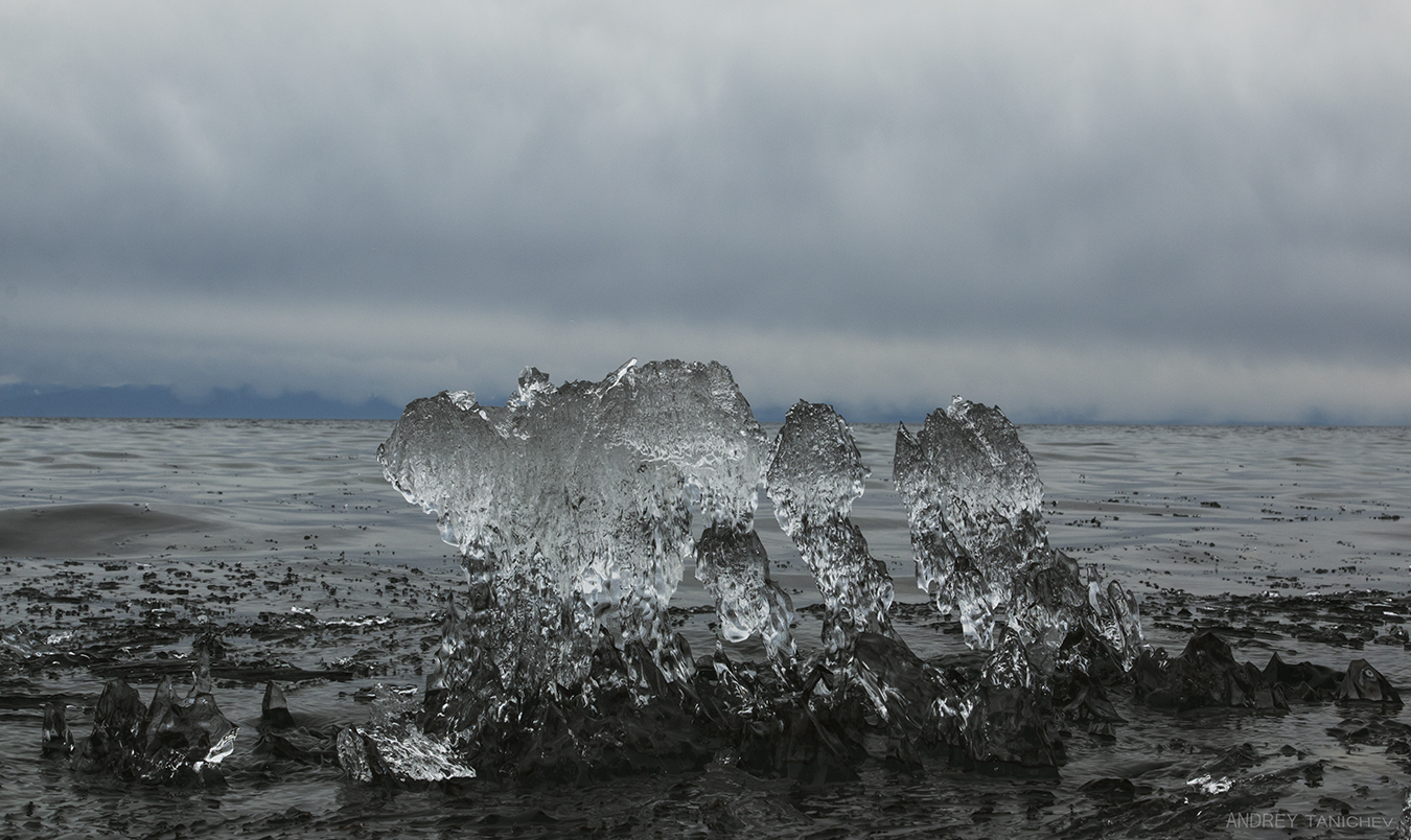 ����� �������� ������� (3)