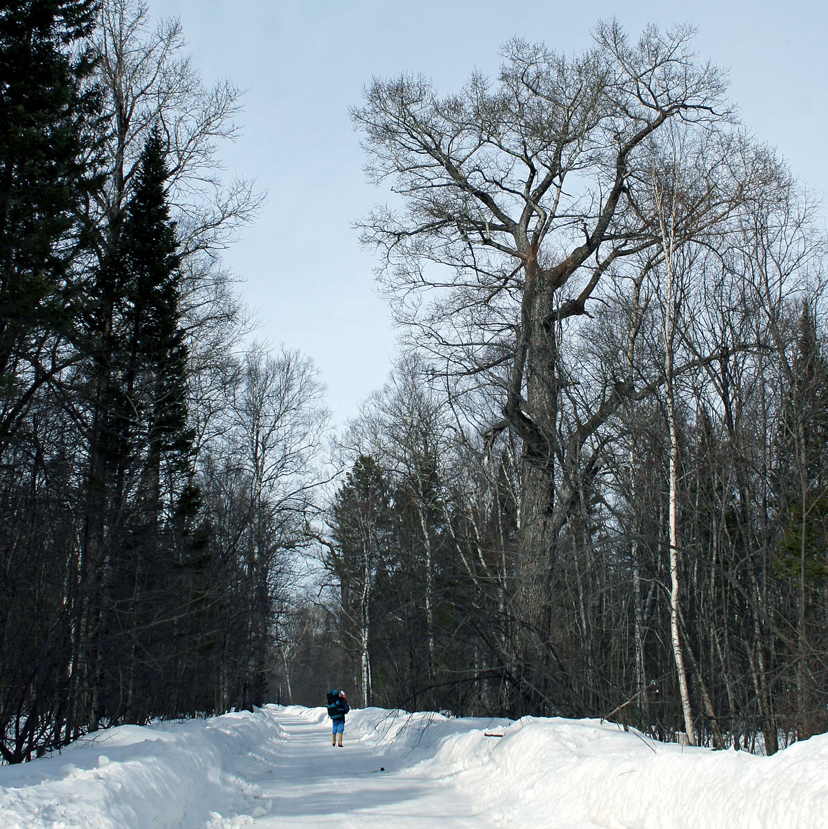 ������ �� ��������