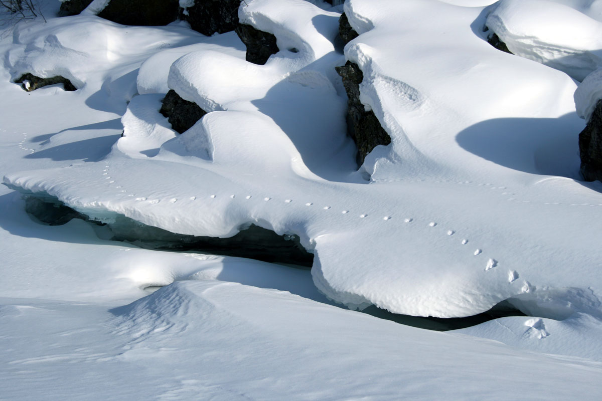 �� ������� � �����