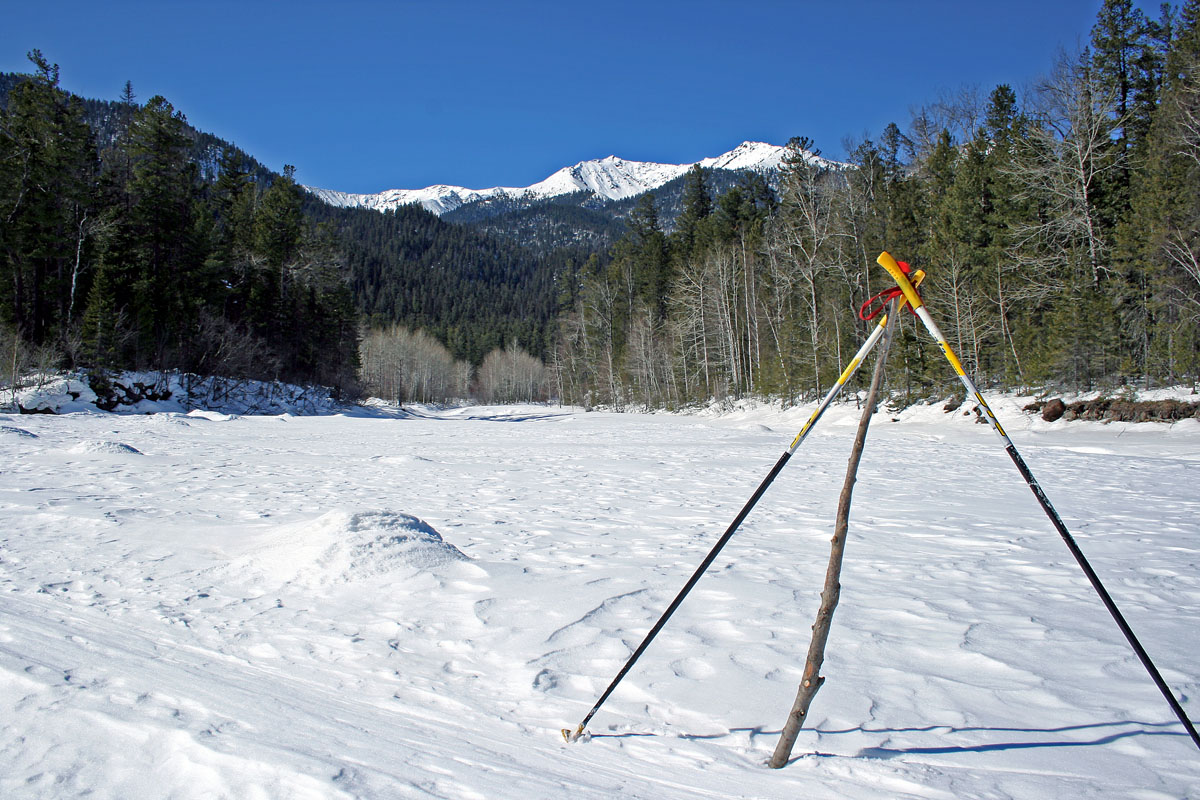 ����� ���� ���-��������