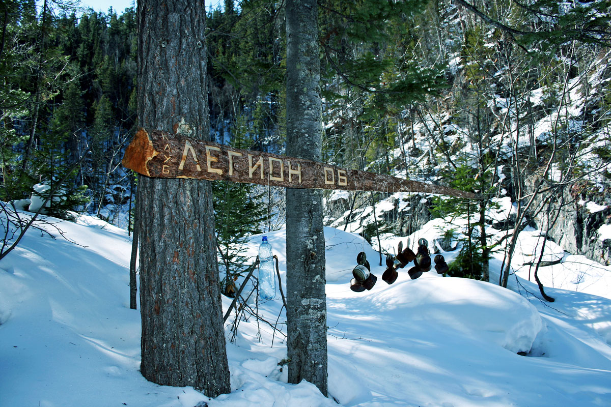 ����� ������ ������