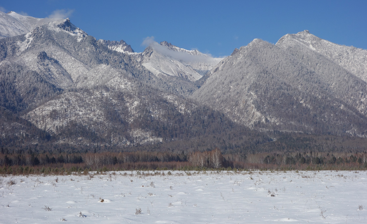 ��� �� ��� ����