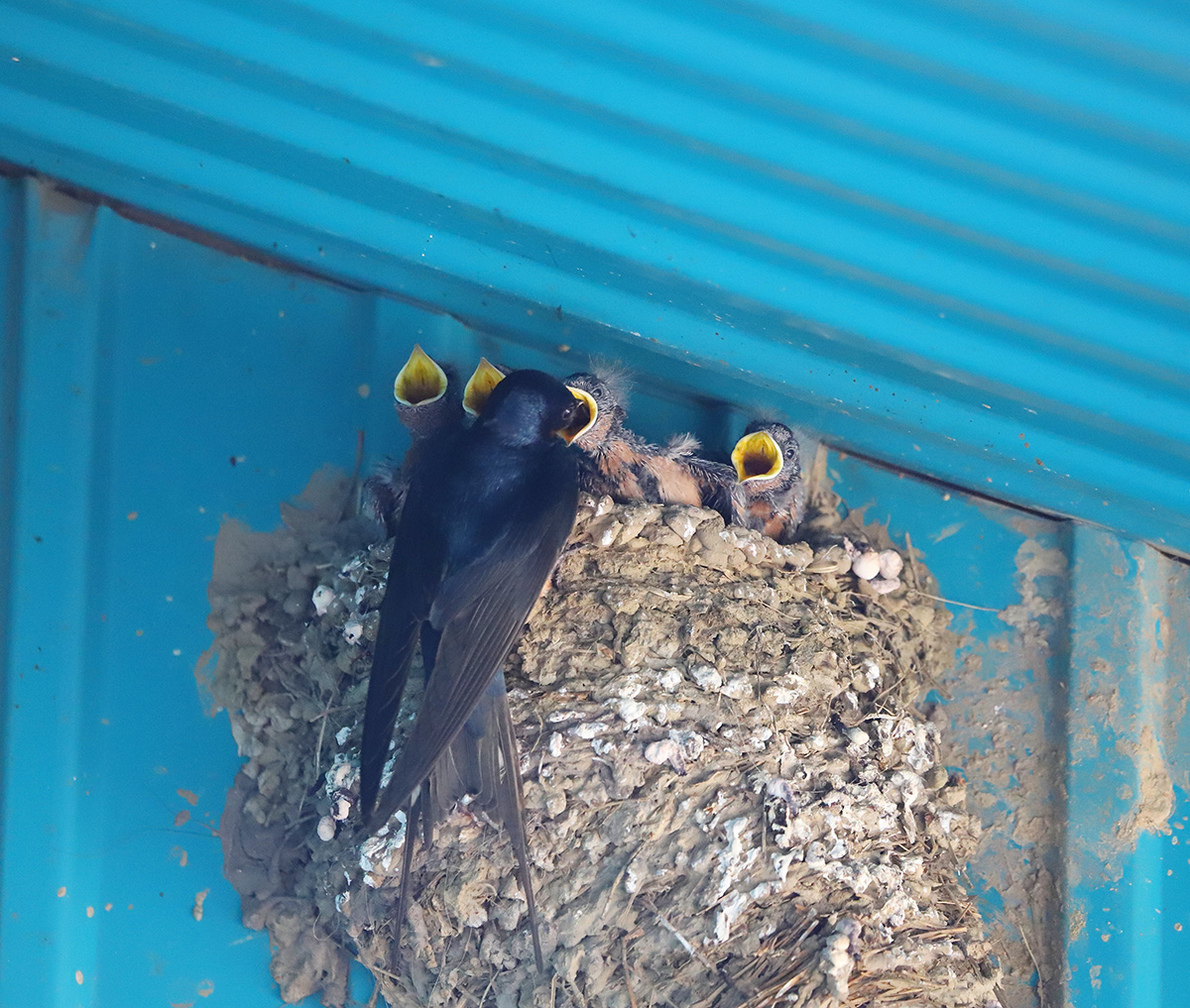 ��������� - �� ����, ����� - �� ����