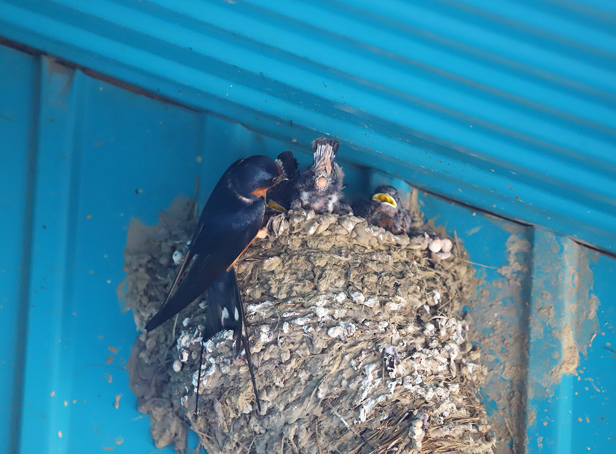 ����� �� �� ����� ��� ���