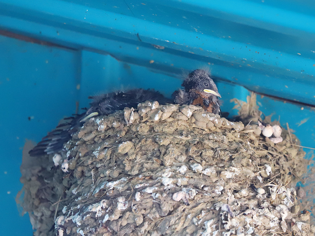 �������� �� ������