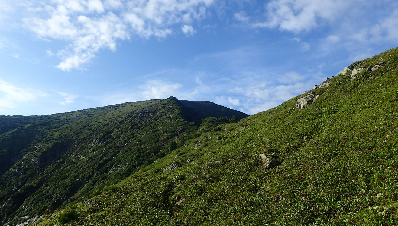 �������� ������� ���� ��������