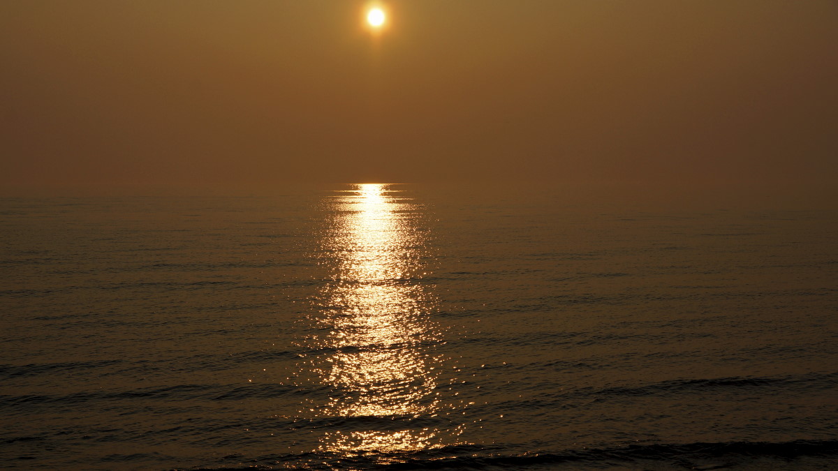 ��������� ������  (�������� 1)