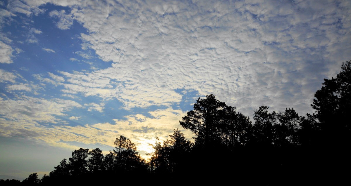 � ��������� ...