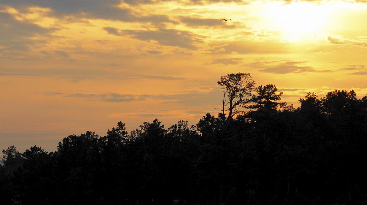 � ������� ������� - �� ������ ��� ����� �