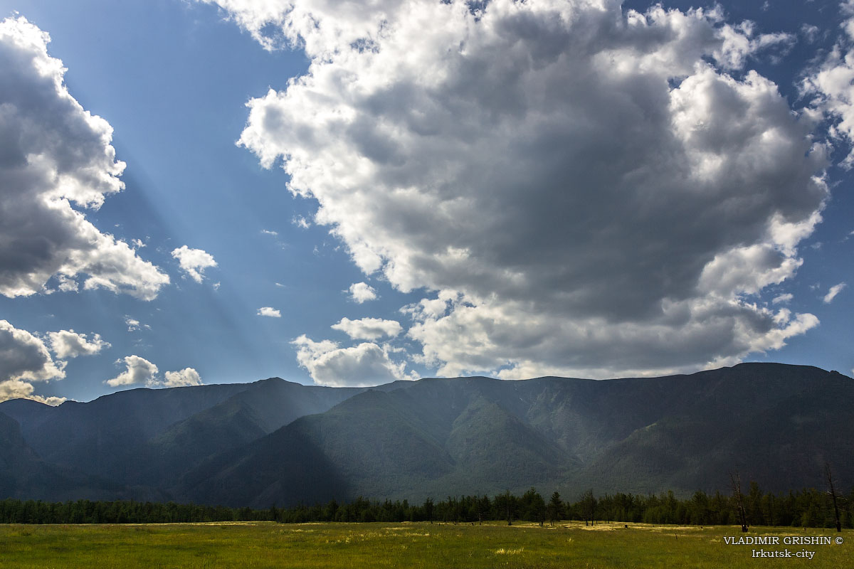 ������ ������