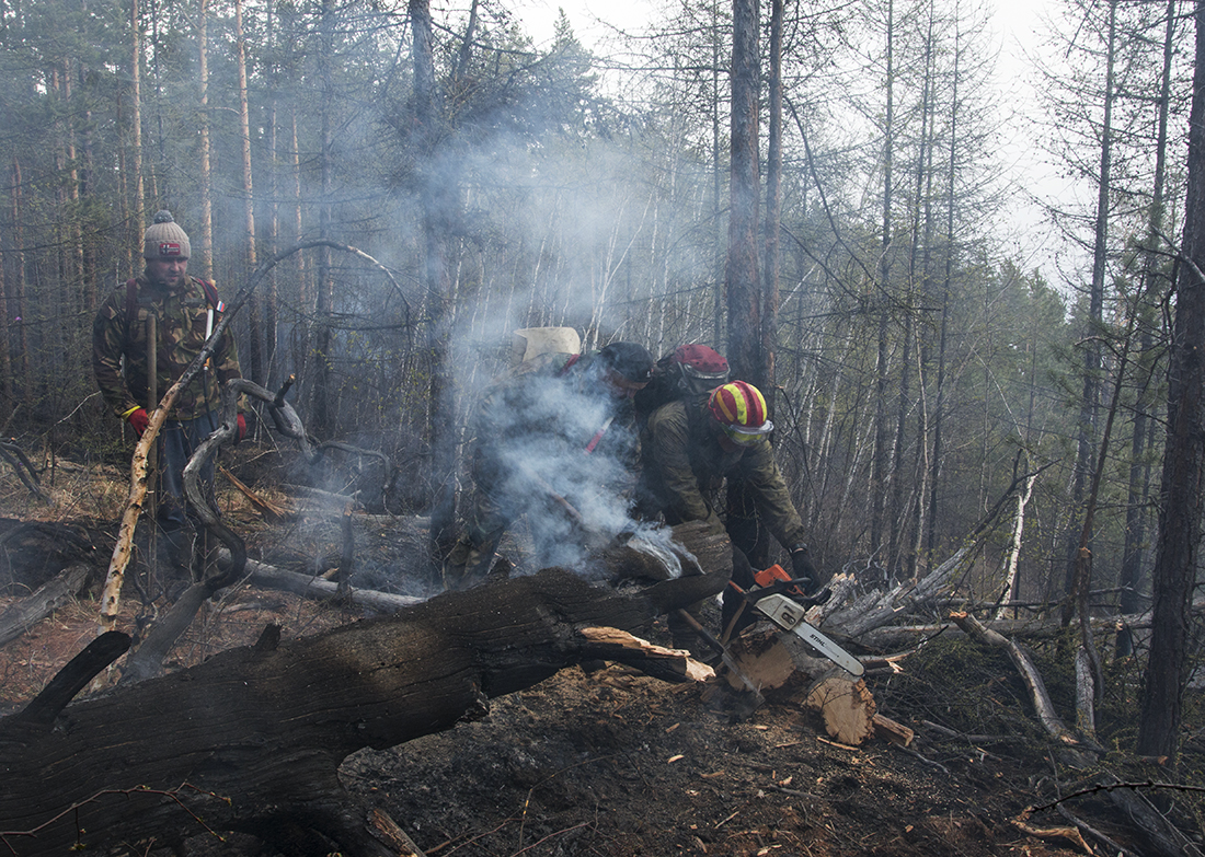 "15.08" � 2019 (5)