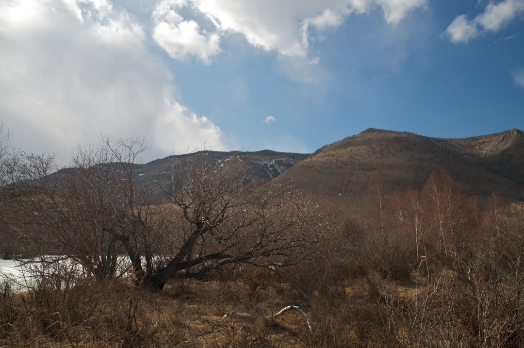 ����� ������