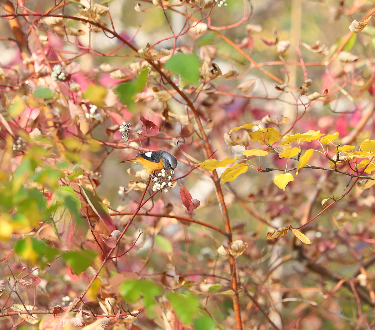 ��, ����� ����, ����� ���� - �������� ��������� �����, �������� - ������, ������� �����, �� ���� ��� ����� ����� ��!