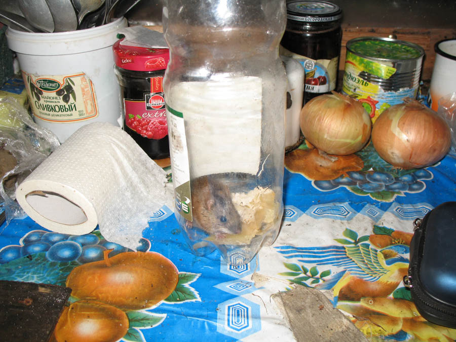 �������!!!! 