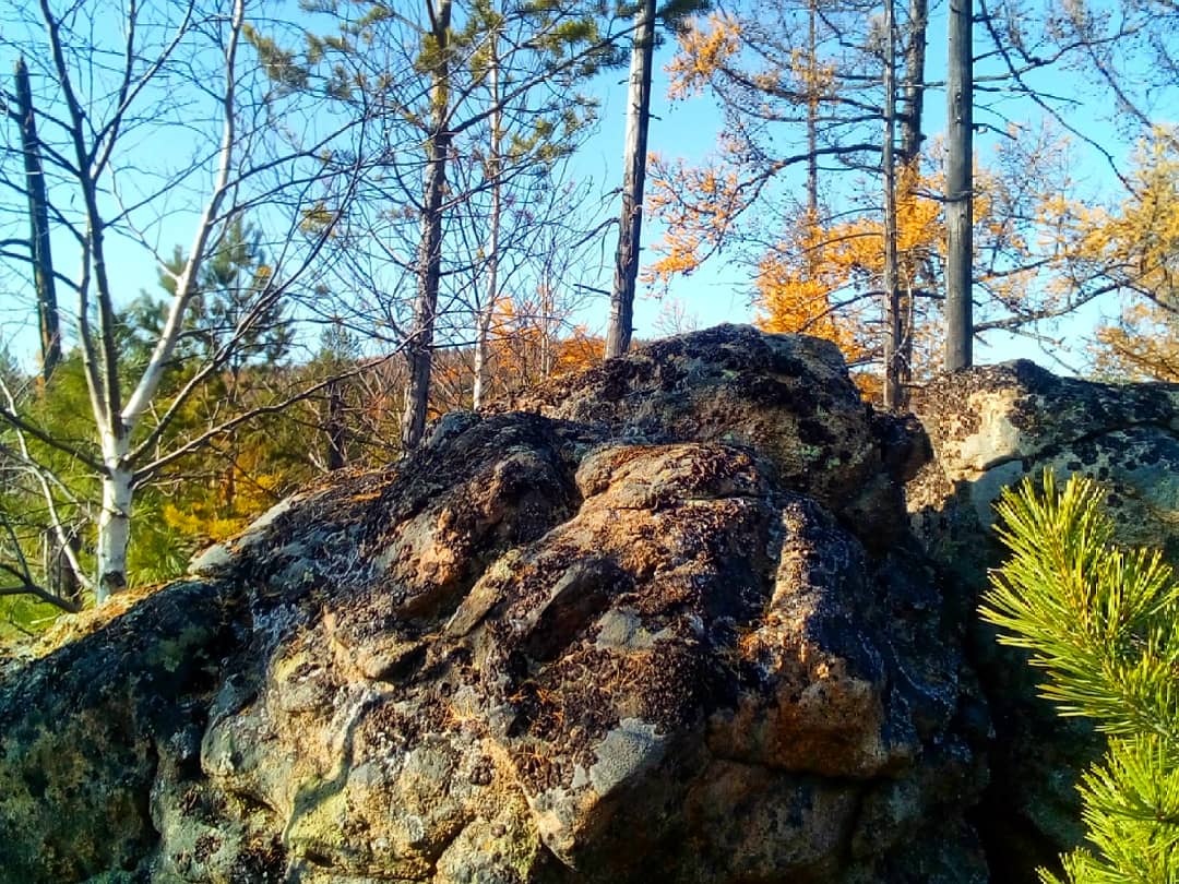 ����� ������ :-)