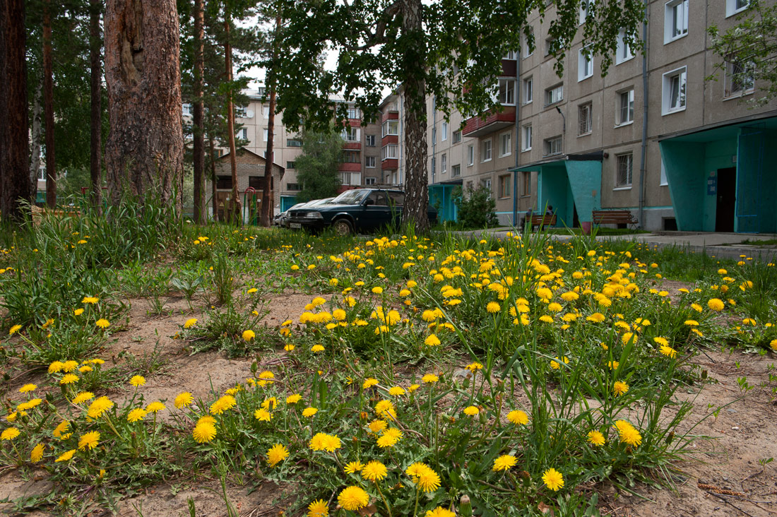 �������� �����