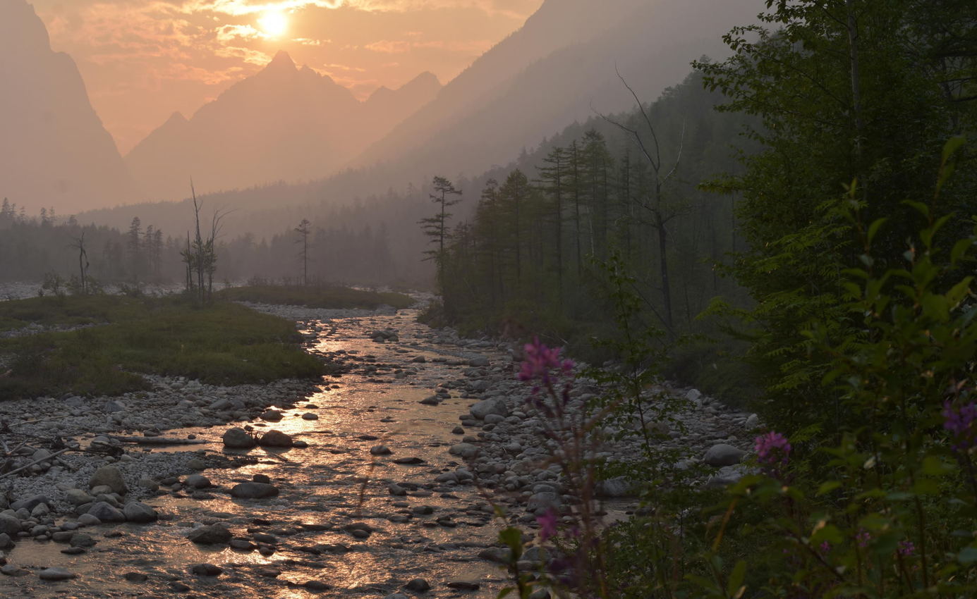 ������� 24