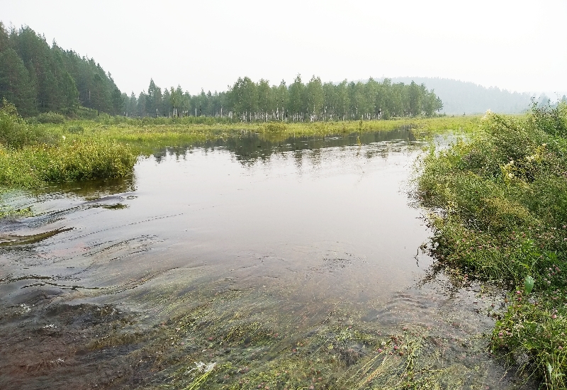 �������� ���� ������