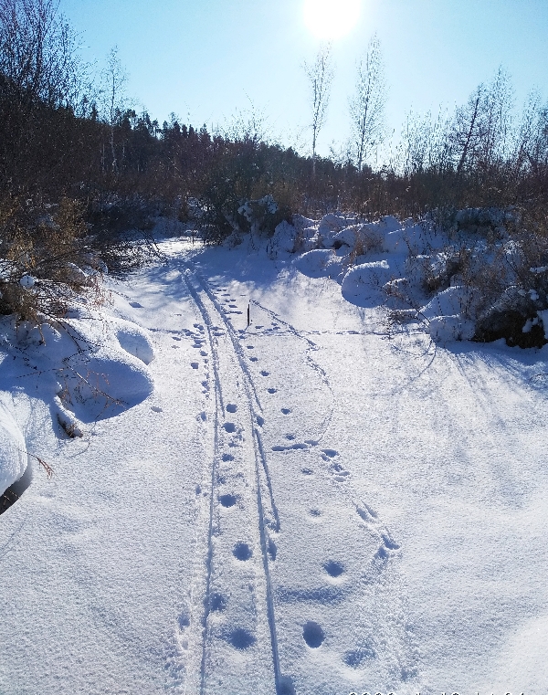 ������ ����� ( ������� �������� ��� ���� - ���������)