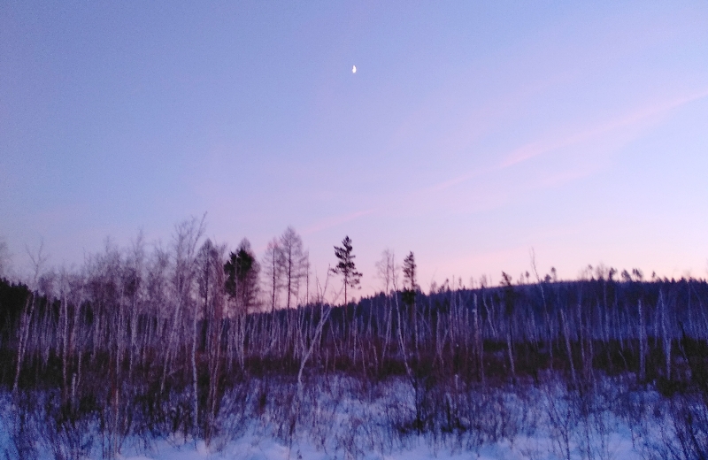 ������ �����