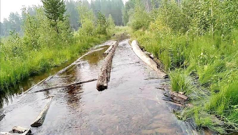 ������ ����� �����������