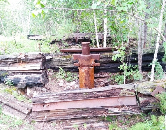 ��� ����� �����������?