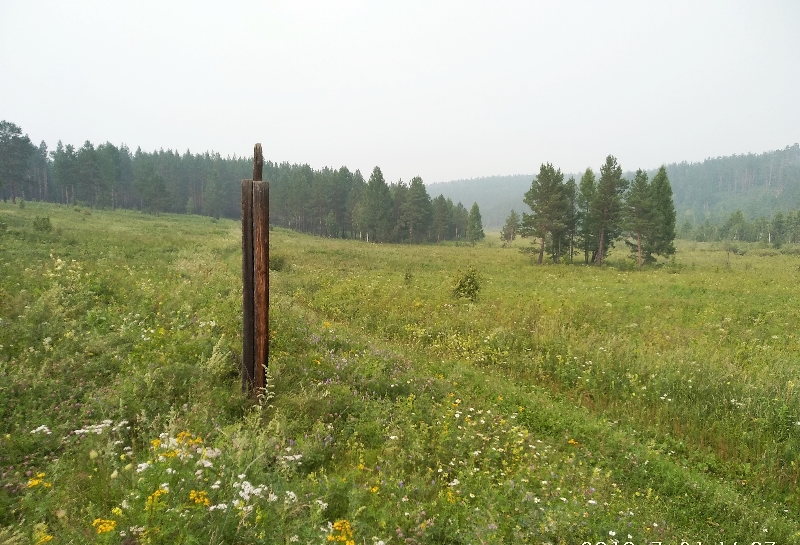 �������� ���� ������