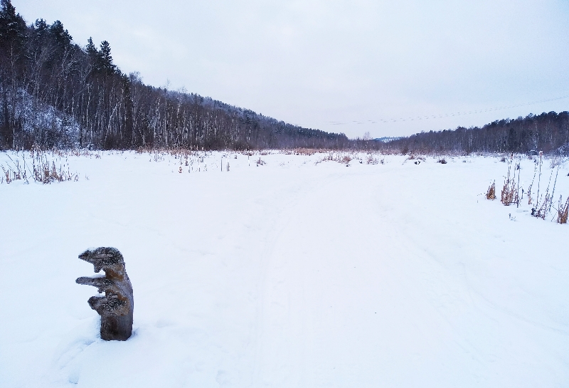 ���������