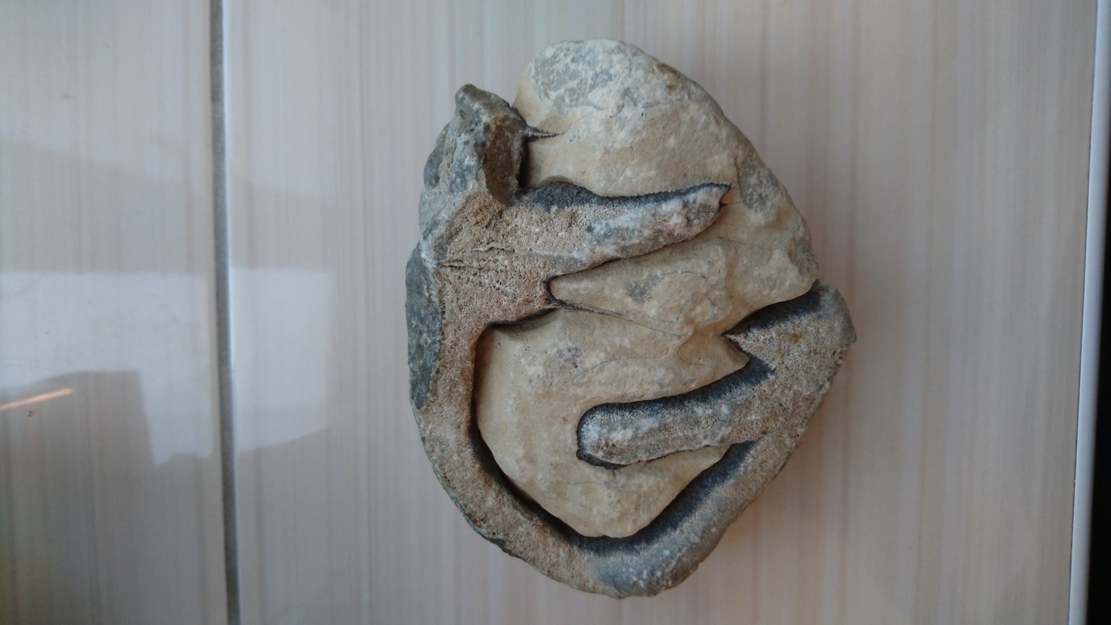 ������ � ��������