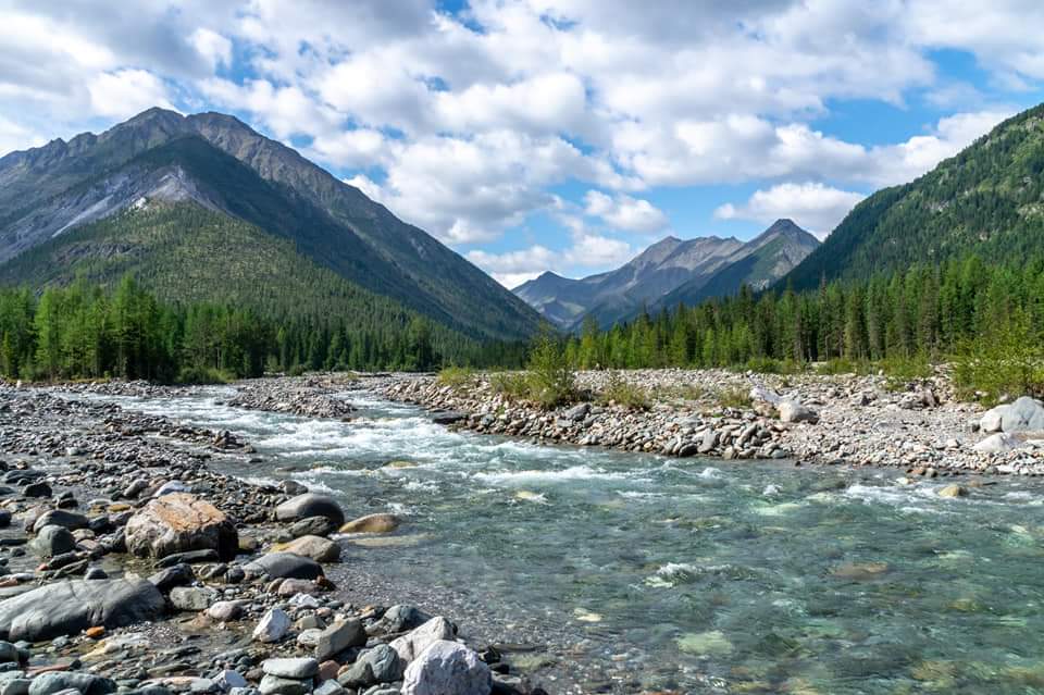 ����� - ������ 2019 �