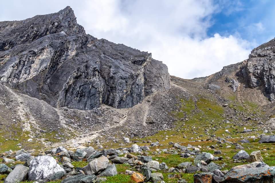 ������� ����������