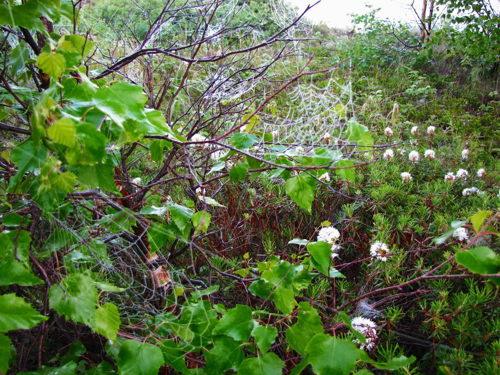 ������� �� ��������