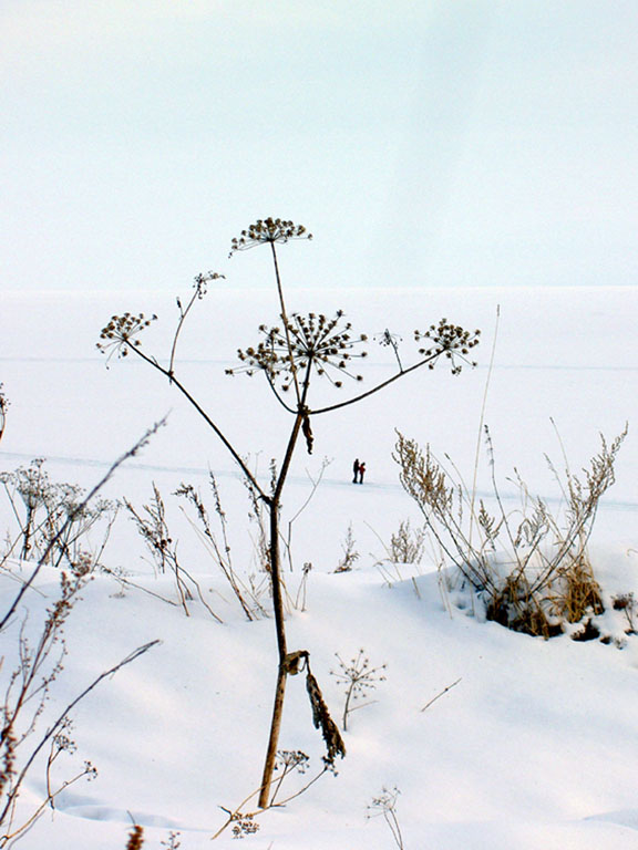 �������� "��� ������"