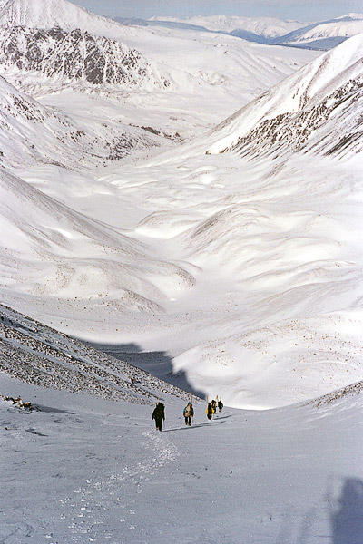 ����� � �������� ���������