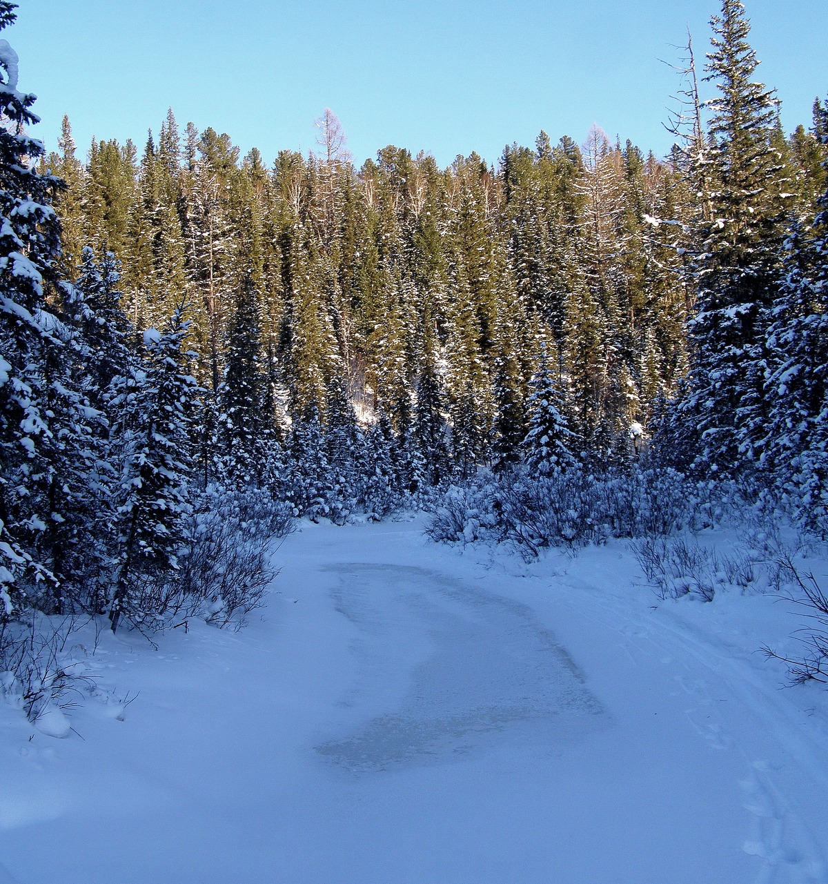 ������ ���� �� ��� �� ���������� ���