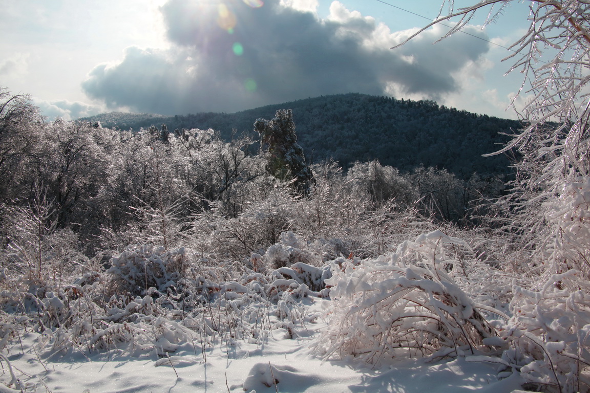 ������ �����