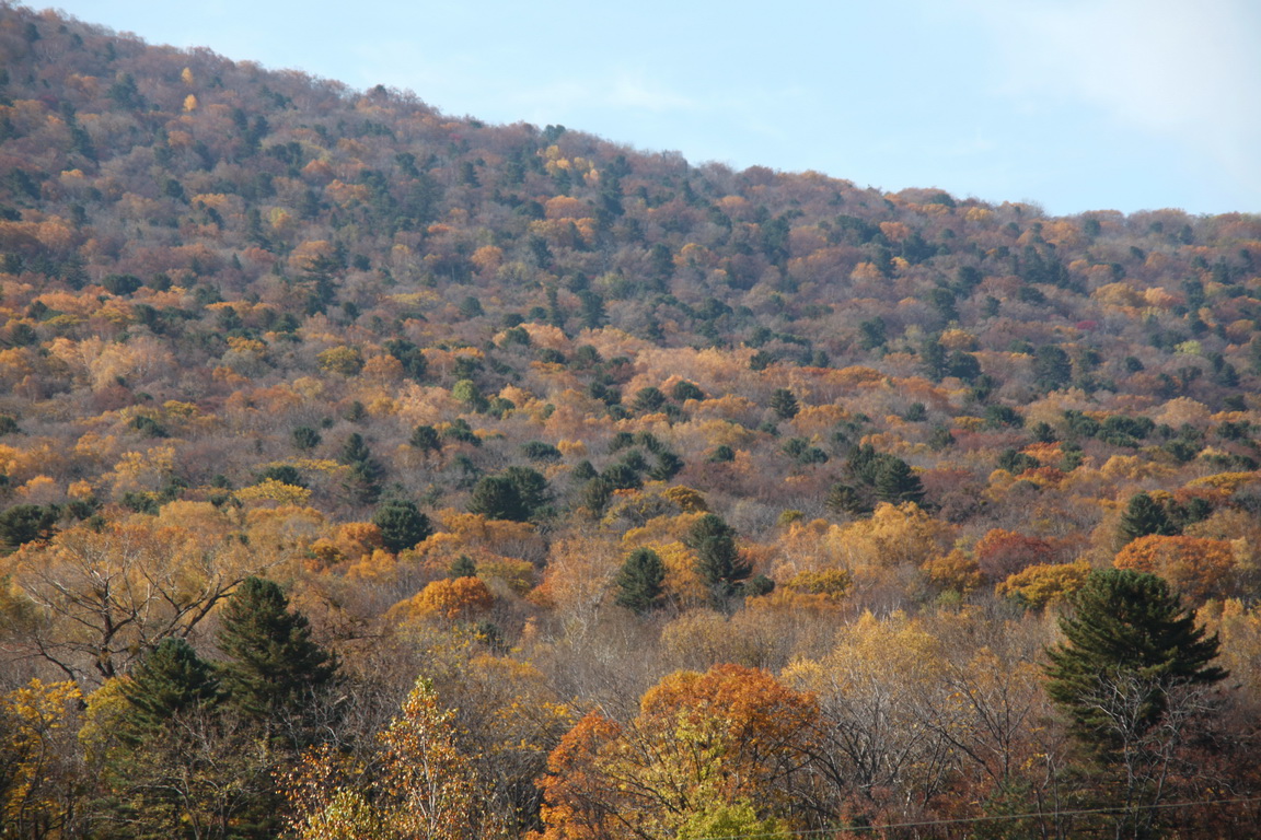 ������� �����