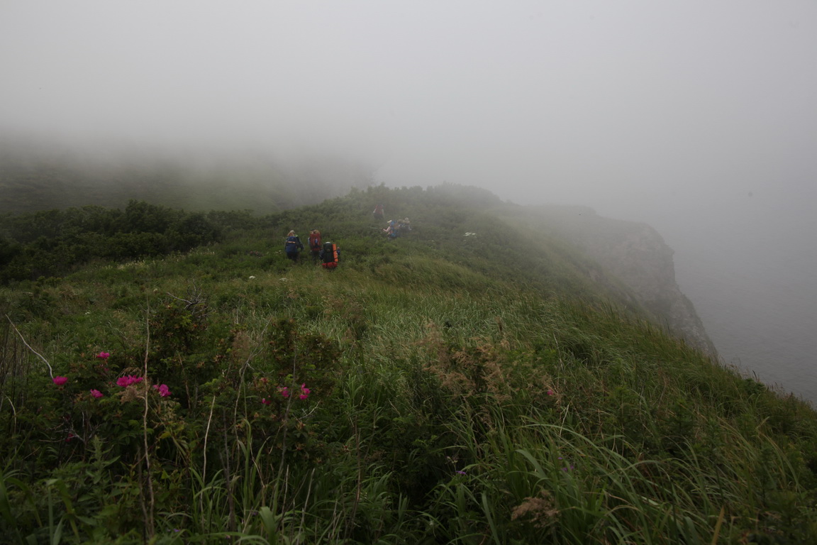 �� ����������� �������� ����������