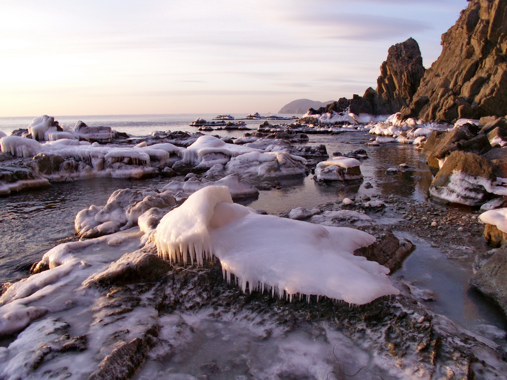 ������ ���������