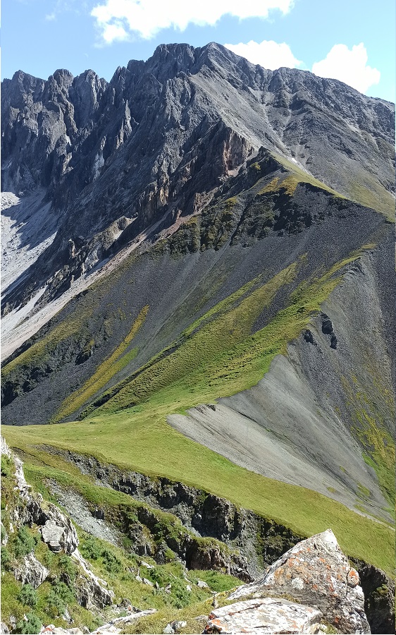 ������� ��� ���������