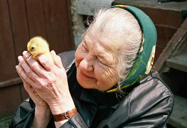 ����� � ��������