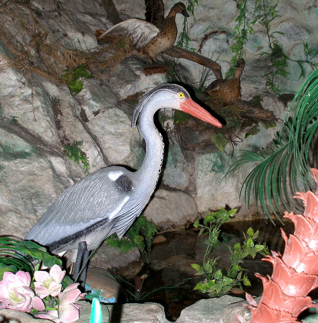 ����� ������...