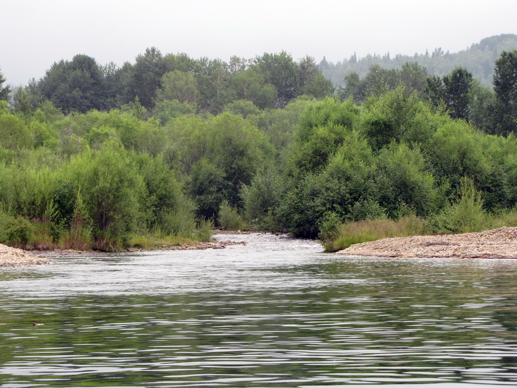 Река Осиновка 3 (западнее поселка Танхой)