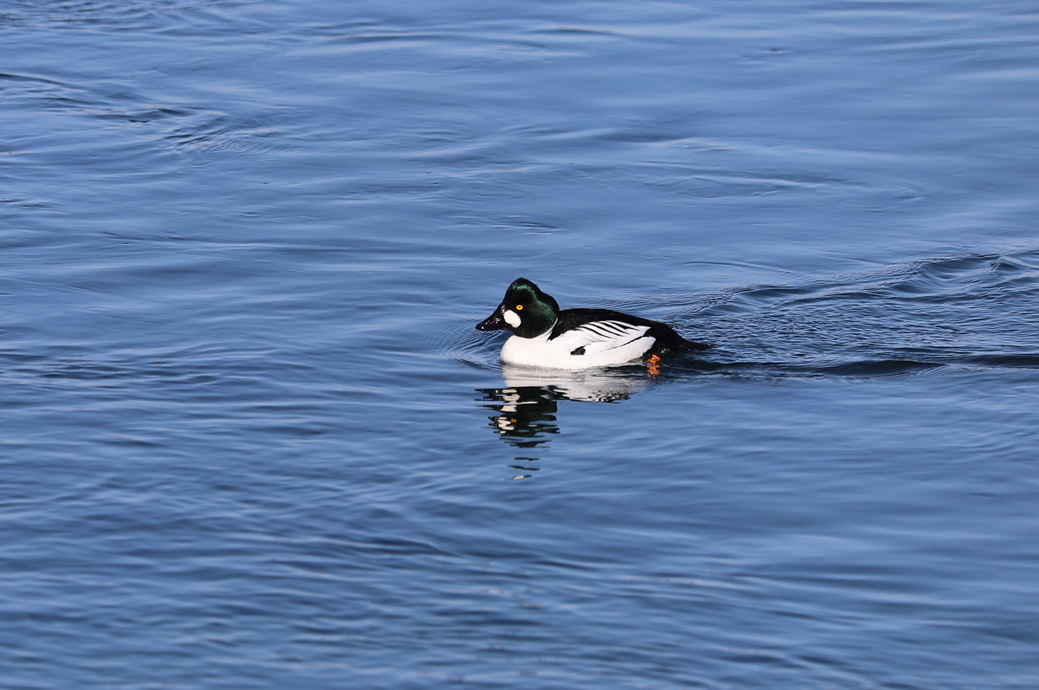 ������ � �������� ������