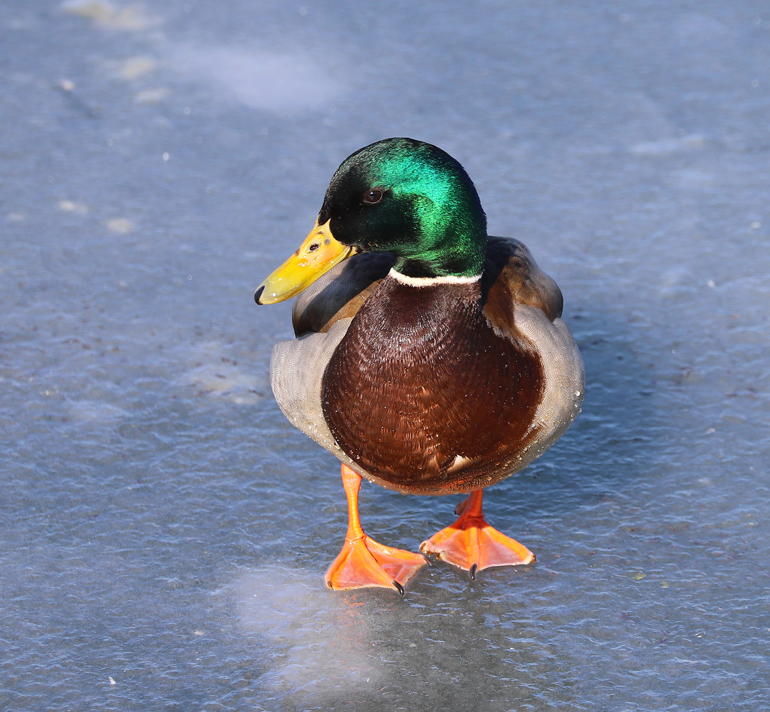 - � � ��� ���� ������� � ����� ?