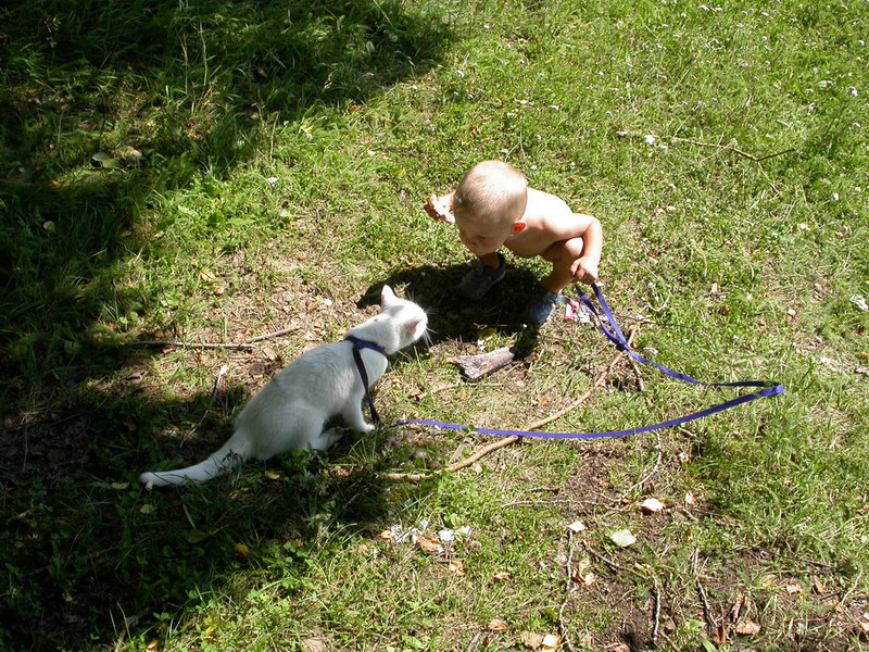 ����������