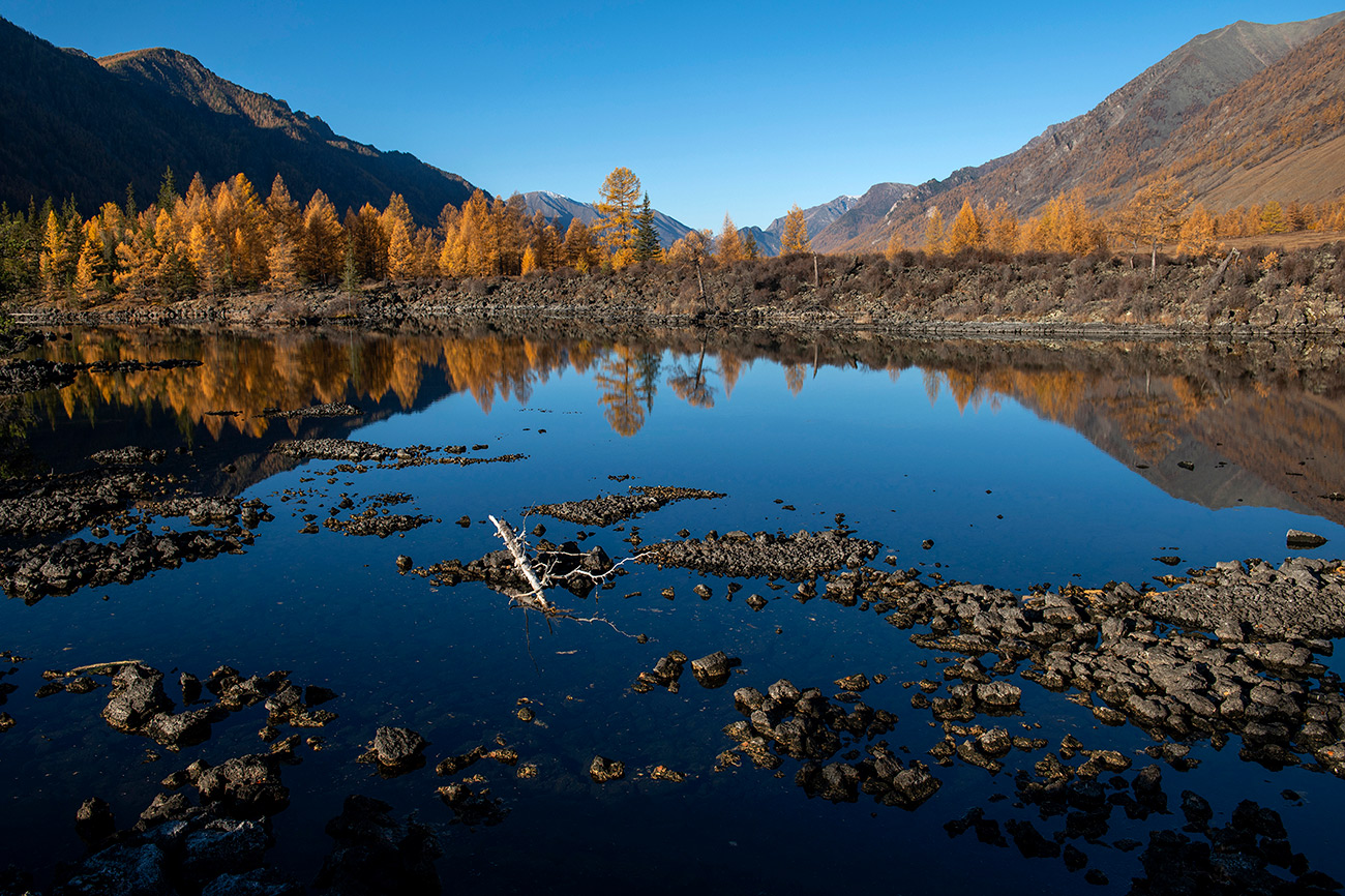 ����� ����